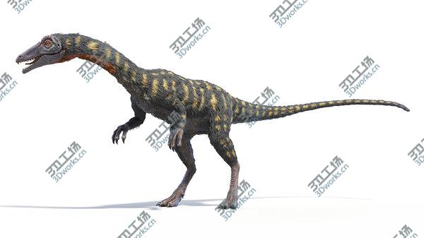images/goods_img/20210312/Coelophysis Animated model/5.jpg